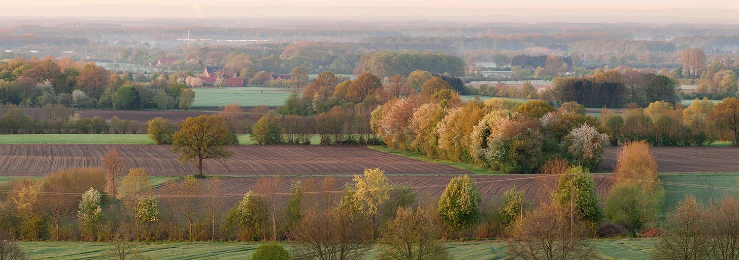 Muensterland im Frühling